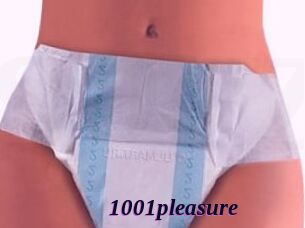 1001pleasure