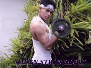 AIDEN_STRONGHOLD