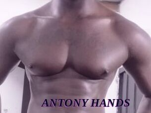 ANTONY_HANDS