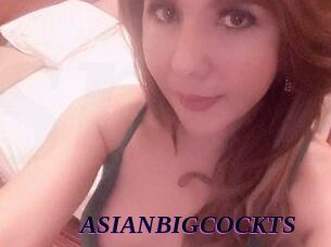 ASIAN_BIGCOCK_TS