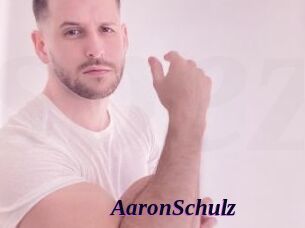 AaronSchulz