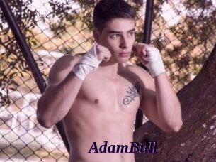 AdamBull