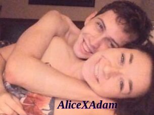 Alice_X_Adam