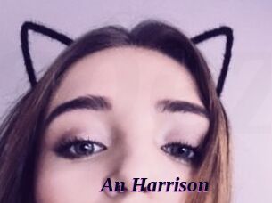 An_Harrison