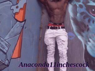 Anaconda11inchescock