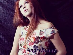 AngryBunny