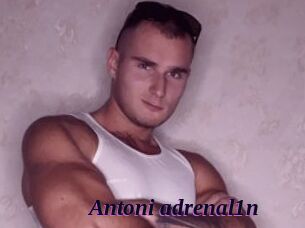 Antoni_adrenal1n