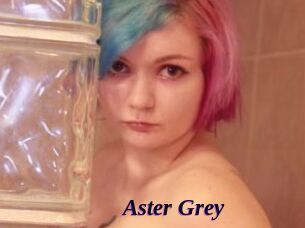 Aster_Grey