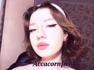 Accacornfield