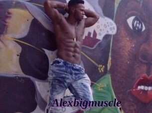 Alexbigmuscle