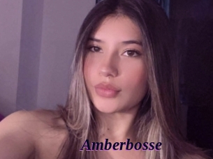 Amberbosse