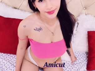 Amicut