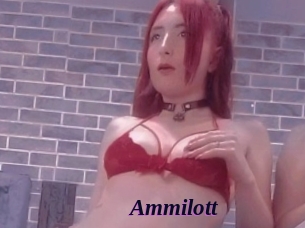 Ammilott