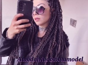 Amodelwhoisnotamodel