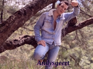 Andysgeert