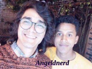 Angeldnerd