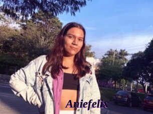 Aniefelix