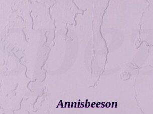 Annisbeeson