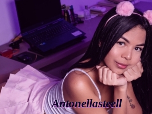 Antonellasteell