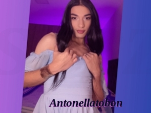 Antonellatobon