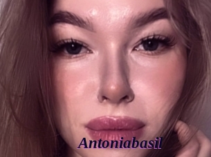 Antoniabasil
