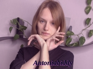 Antoniabiddy