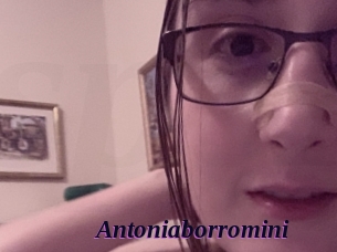 Antoniaborromini