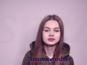 Antoniacordner