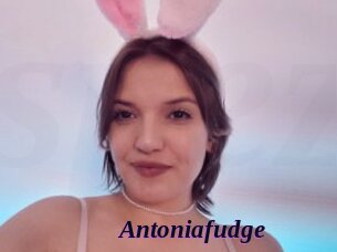 Antoniafudge