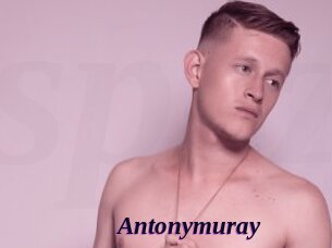 Antonymuray