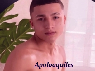 Apoloaquiles