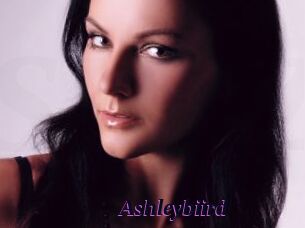 Ashleybiird