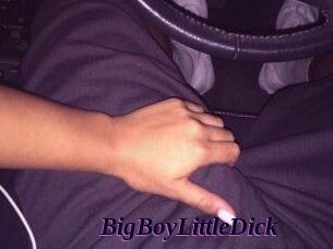 BigBoyLittleDick