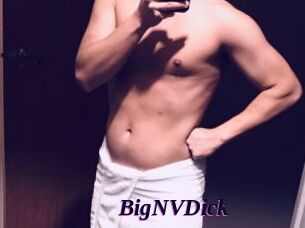 BigNVDick