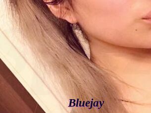 Blue_jay