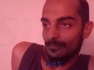 BobX