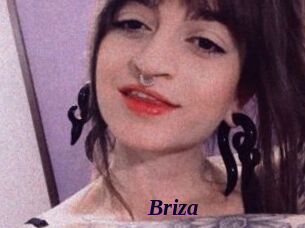 Briza