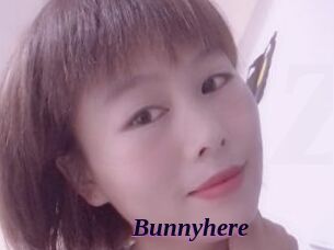 Bunnyhere