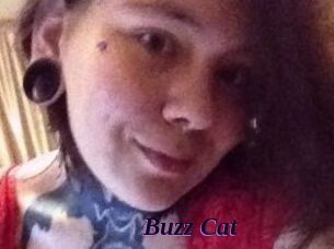 Buzz_Cat