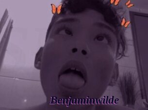 Benjaminwilde