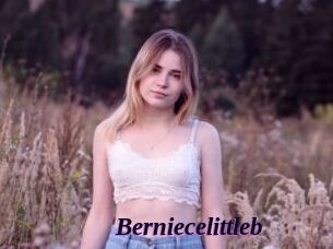 Berniecelittleb