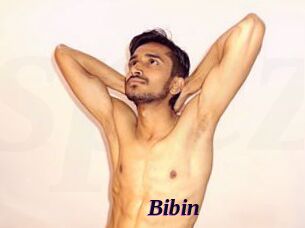 Bibin