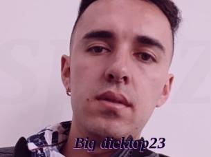 Big_dicktop23