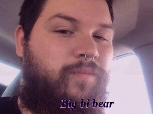 Big_bi_bear