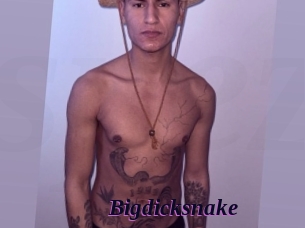 bigdicksnake Spezial Sexcam