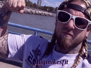 Bigmikesfit