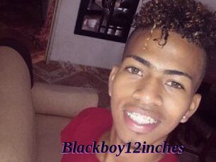 Blackboy12inches