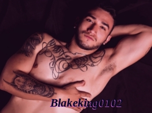 Blakeking0102