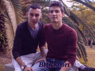 Bleicknort