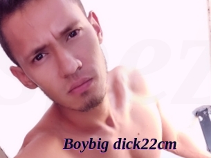 Boybig_dick22cm